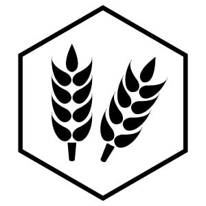 Wheat